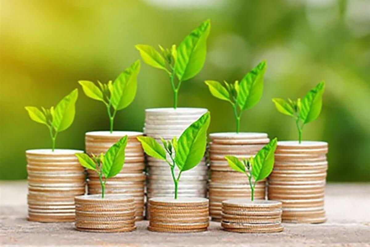 افزایش ۱۰۰ درصدی صدور ضمانت نامه توسط صندوق های پژوهش و فناوری