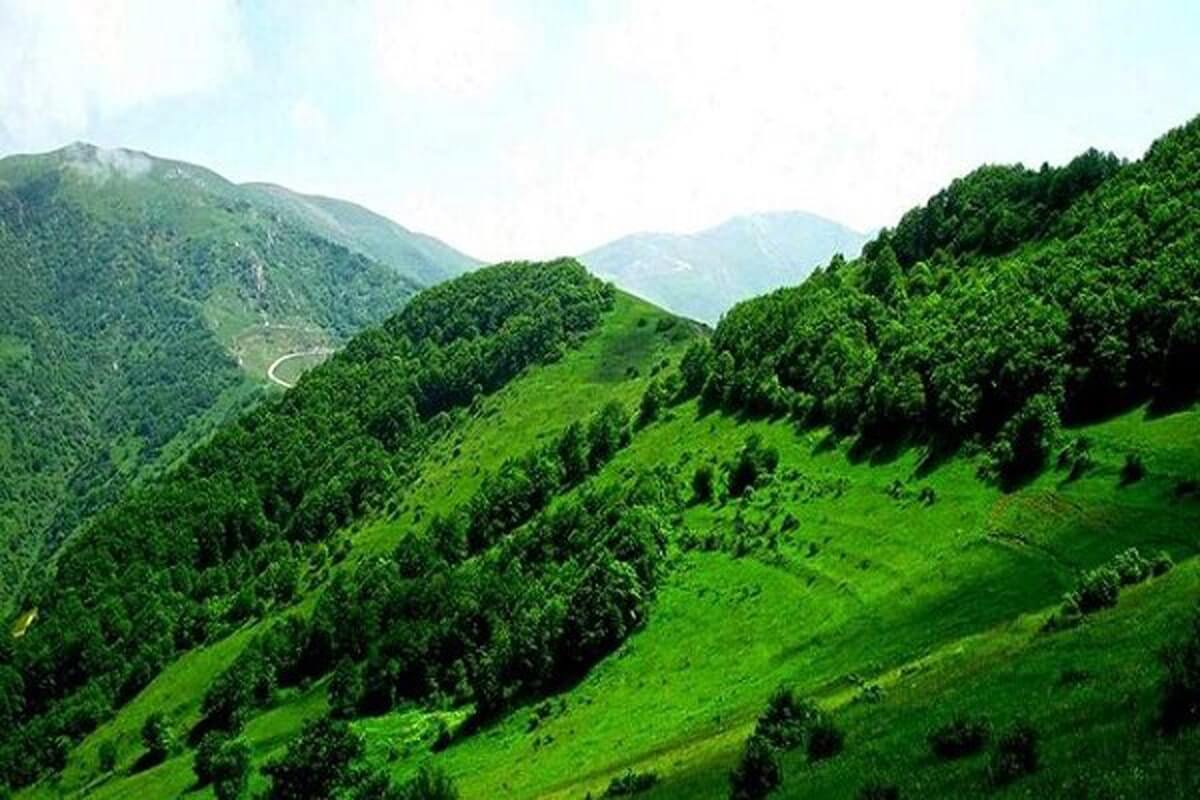 رویکردهای سبز و پایدار در صنعت گردشگری مغفول مانده است
